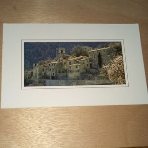 Vintage Italian Postcard